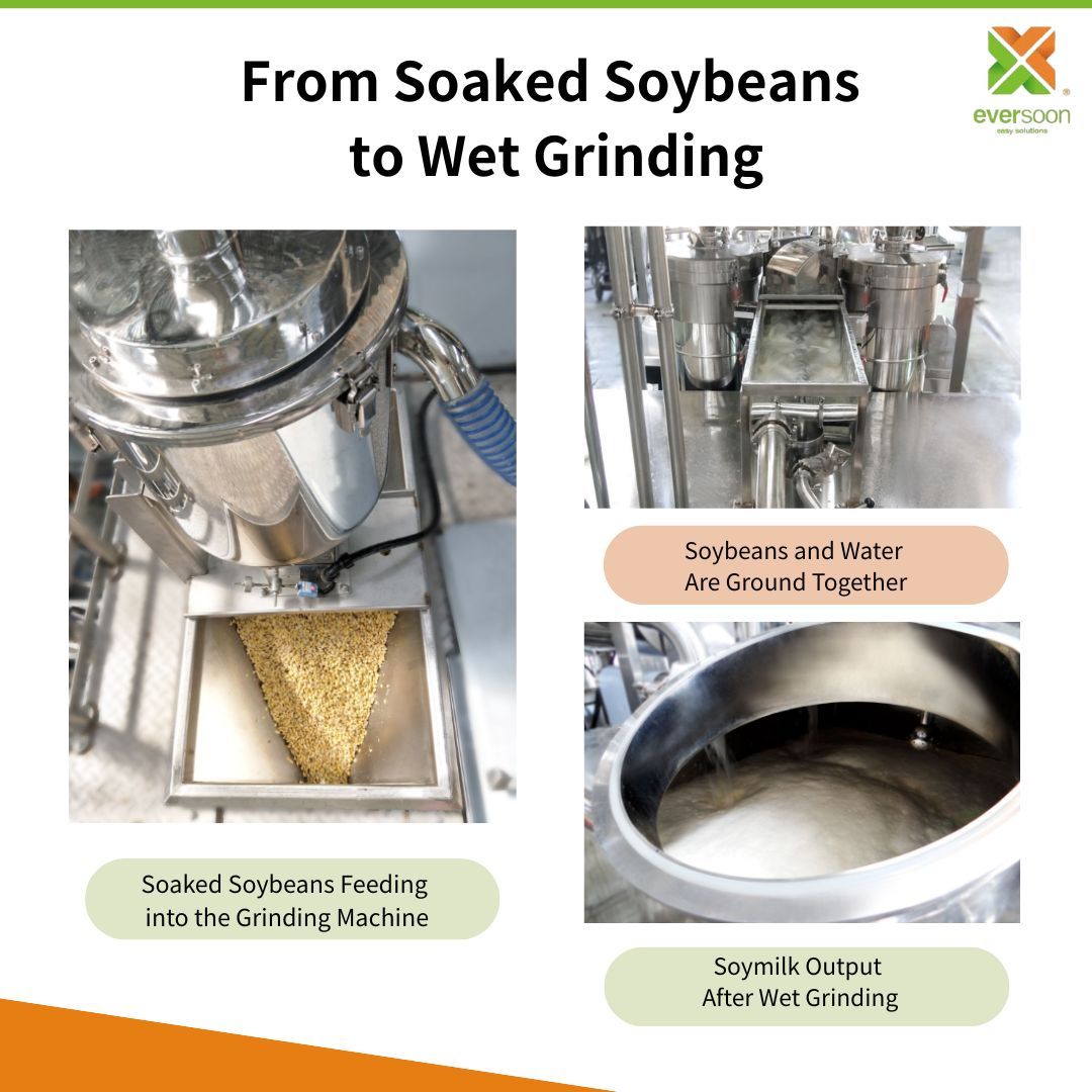 From-soaked-soybeans-to-wet-grinding-showing-soaked-soybeans-feeding-into-the-grinding-machine-and-soy-slurry-output